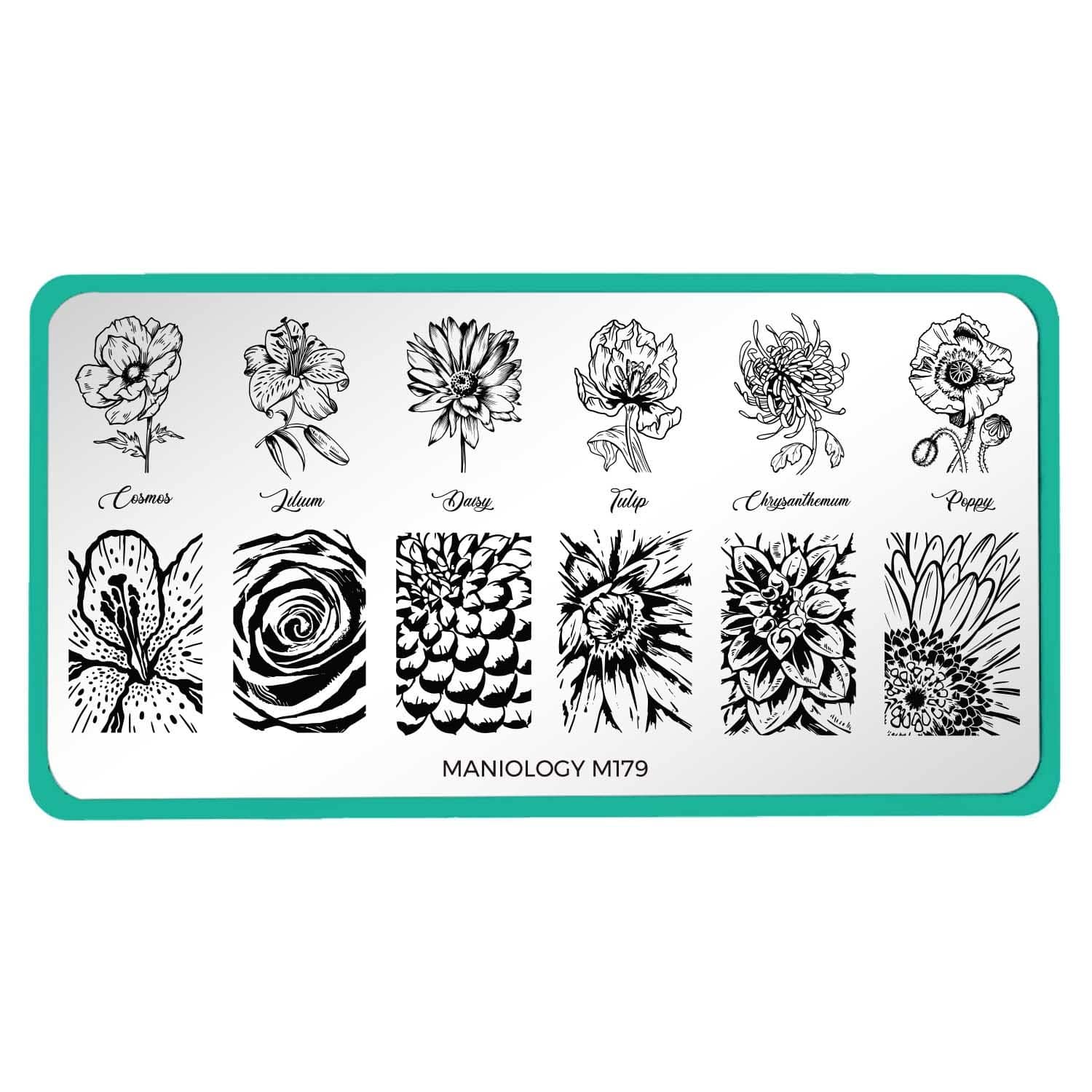 Maniology - Stamping Plate - Grow With Love #M179 - Nail Art at Beyond Polish