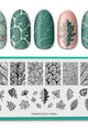 Maniology - Stamping Plate - Leaf Skeletons (M404) - Nail Art at Beyond Polish