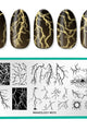 Maniology - Stamping Plate - Lightning Strikes (M572) - Nail Art at Beyond Polish
