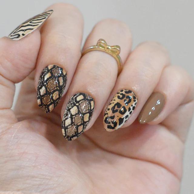 Maniology - Stamping Plate - Wild Instincts (M708) - Nail Art at Beyond Polish