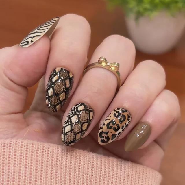 Maniology - Stamping Plate - Wild Instincts (M708) - Nail Art at Beyond Polish