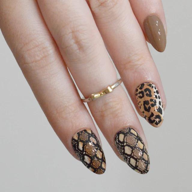 Maniology - Stamping Plate - Wild Instincts (M708) - Nail Art at Beyond Polish