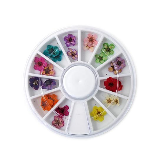 Nail Art Design - Flower Wheel Set #3 - Nail Art at Beyond Polish