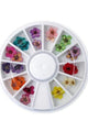 Nail Art Design - Flower Wheel Set #3 - Nail Art at Beyond Polish