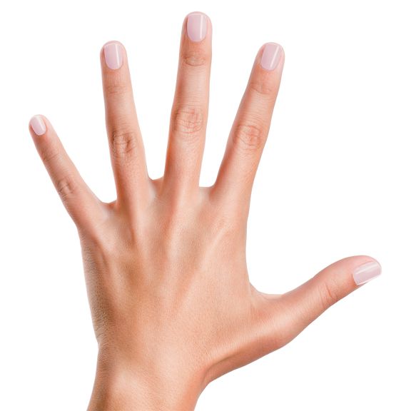 Piggy Paint Nail Polish - Basecoat + Sealer 0.5 oz - Top & Base Coats at Beyond Polish