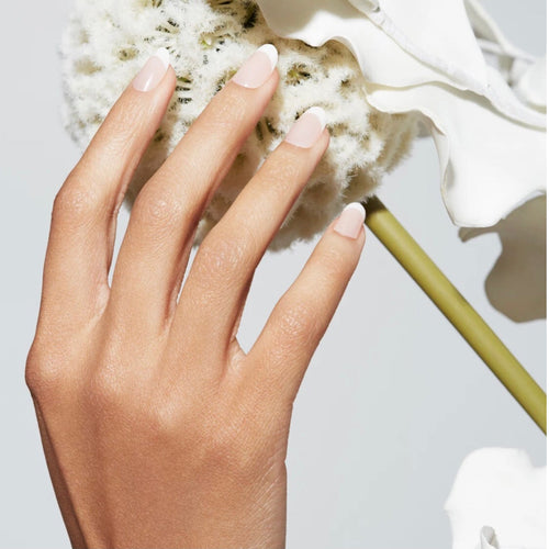 Static Nails - Reusable Pop-On Manicures - French 75 Round