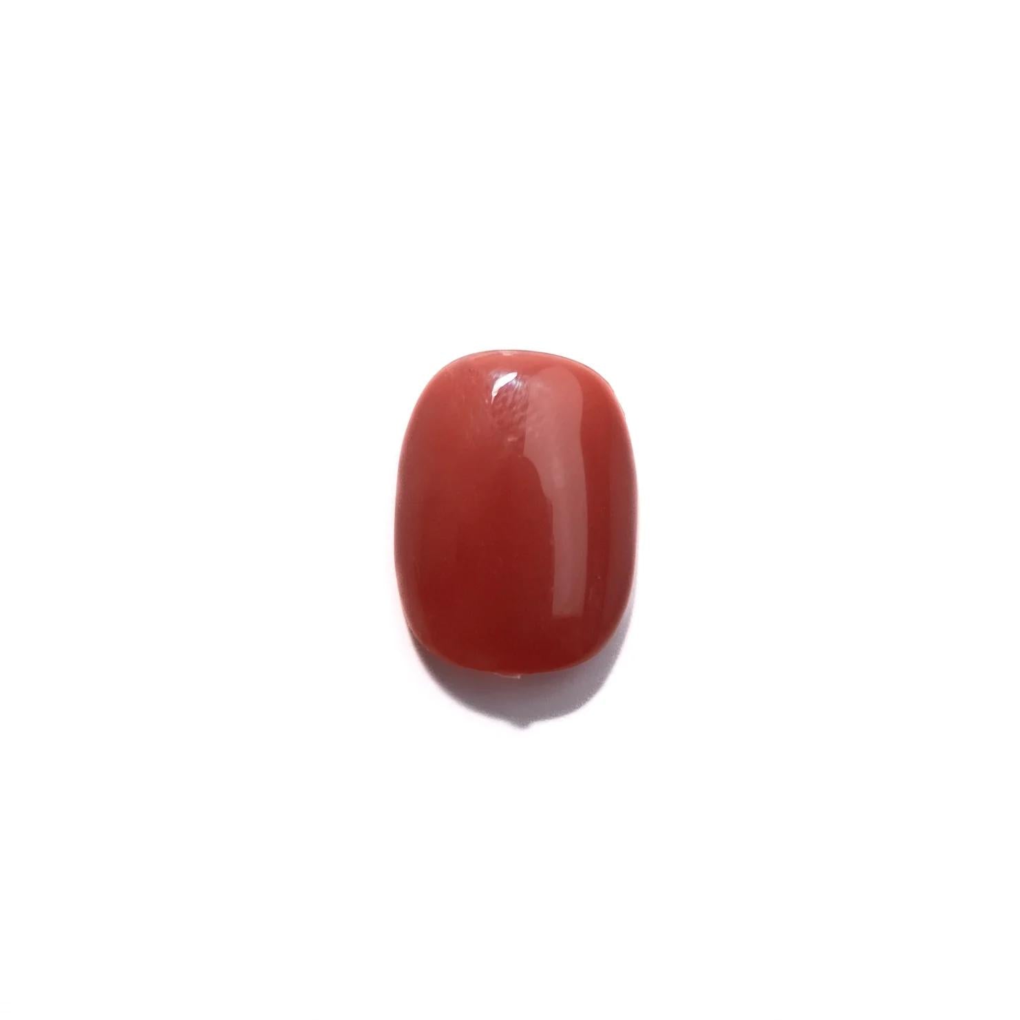 Tom Bachik - Blush Series - BS-107 - Gel Polish at Beyond Polish