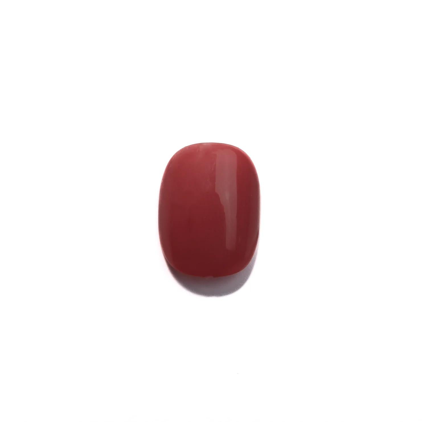 Tom Bachik - Blush Series - BS-108 - Gel Polish at Beyond Polish