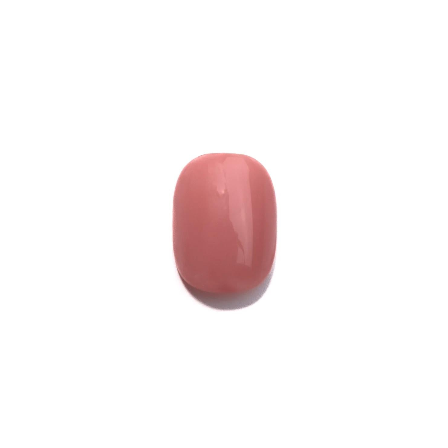 Tom Bachik - Foundation Series - FS-108 - Gel Polish at Beyond Polish