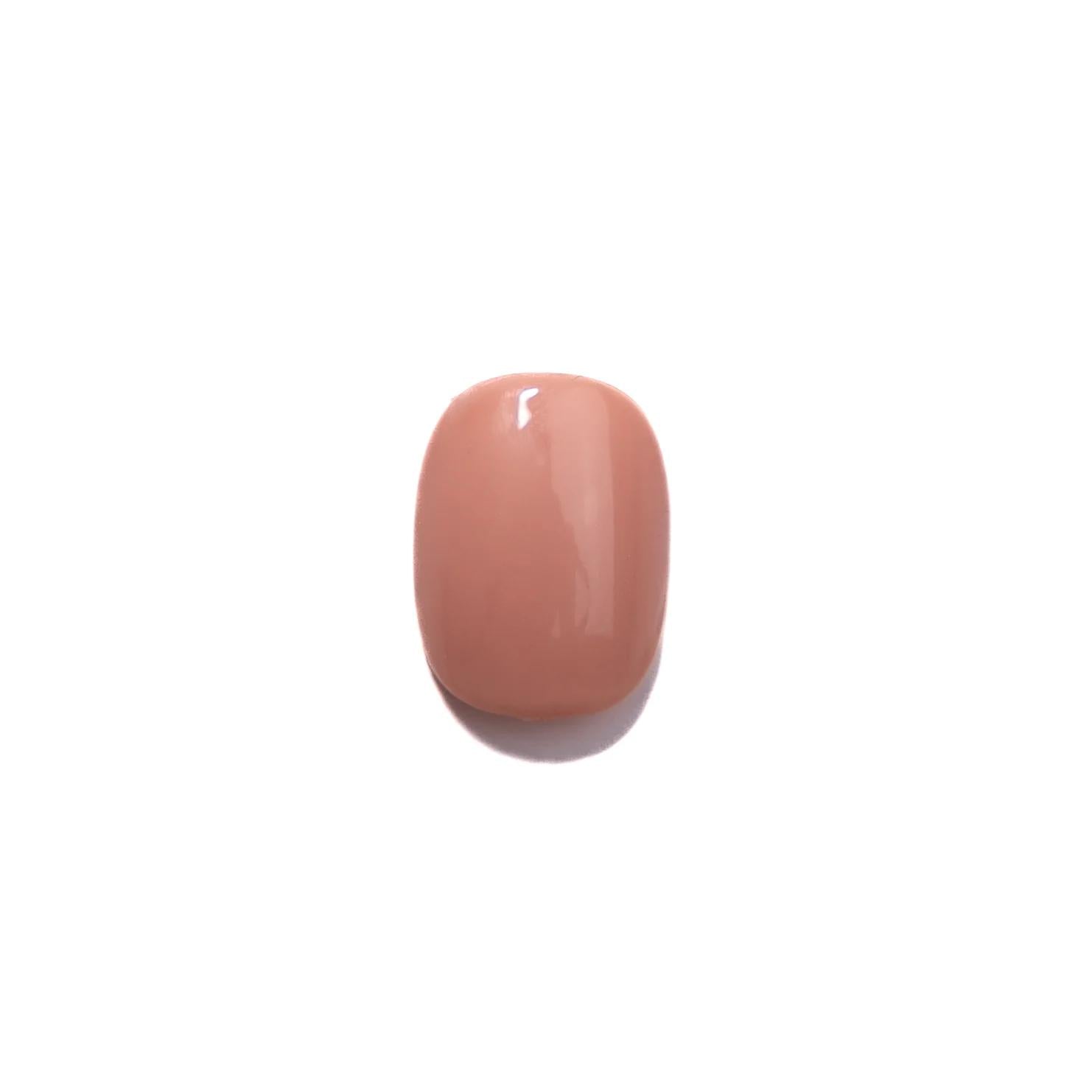 Tom Bachik - Foundation Series - FS-109 - Gel Polish at Beyond Polish