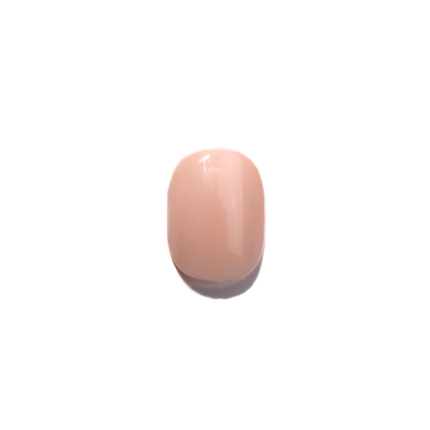 Tom Bachik - Foundation Series - FS-110 - Gel Polish at Beyond Polish